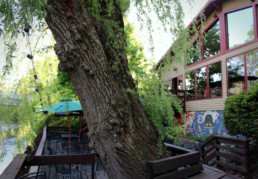 willow-tree-restaurant-deck